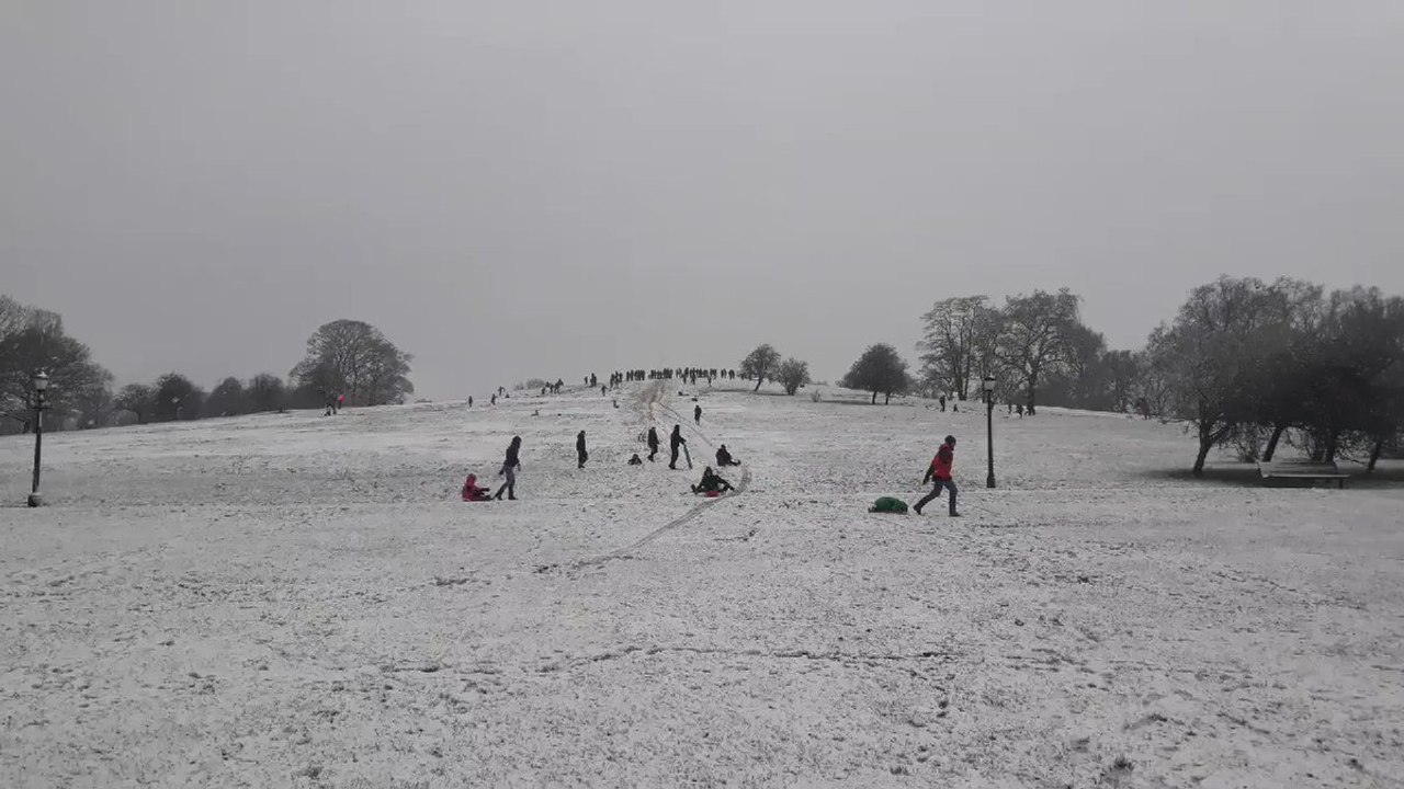 Londoners Go Sledding on Primrose Hill as Amber Snow Warning Continues