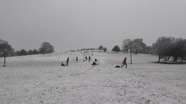 Londoners Go Sledding on Primrose Hill as Amber Snow Warning Continues