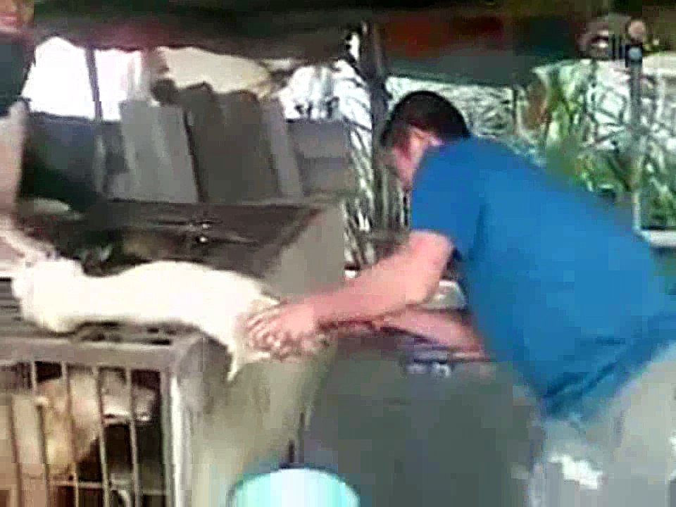 ĐỜI CÓ VAY CÓ TRẢ LUẬT NHÂN QUẢ KHÔNG BỎ XÓT MỘT AI