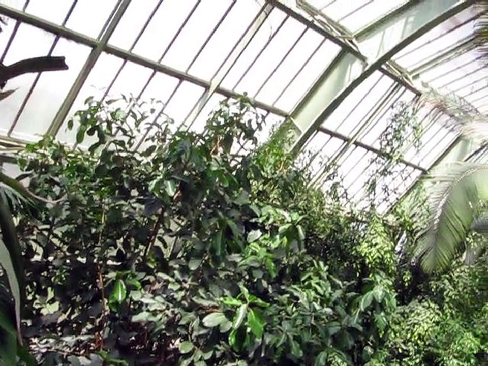 Jardins des Plantes-Serres