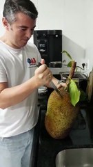 INSIDER THAILAND-How to remove jackfruit