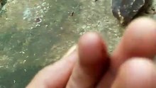 INSIDER THAILAND-what's that like Marvel infinity stone
