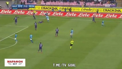 highlights - Nap Fio