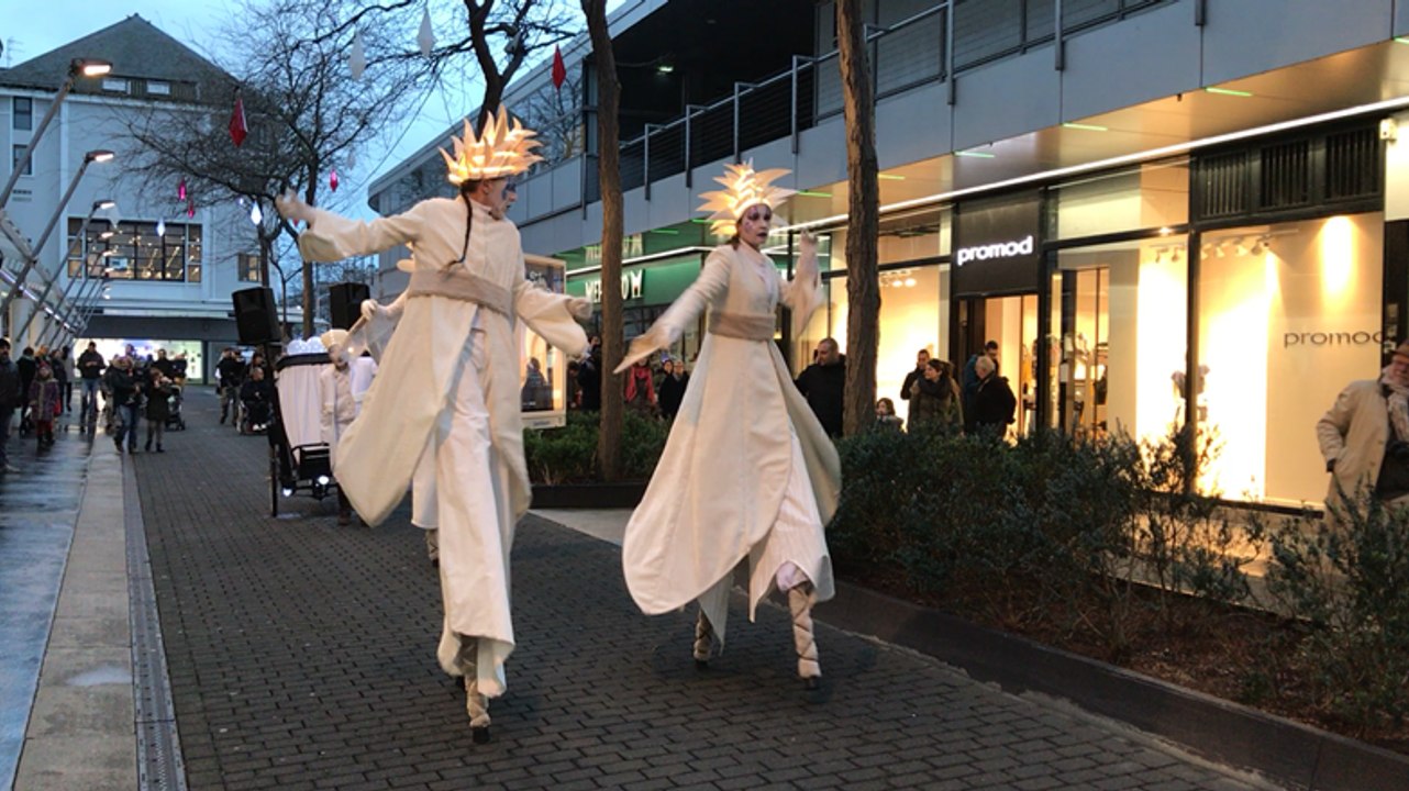 Les Elfes des pôles