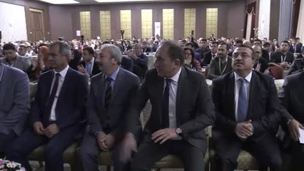 Eroğlu: "Bütün Dünyada Orman Varlığı Azalırken Türkiye'de Artıyor