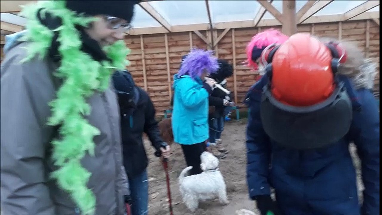 Journée éducation canine La Récré@chien !