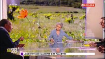 Pierre Rabhi et l'agroécologie