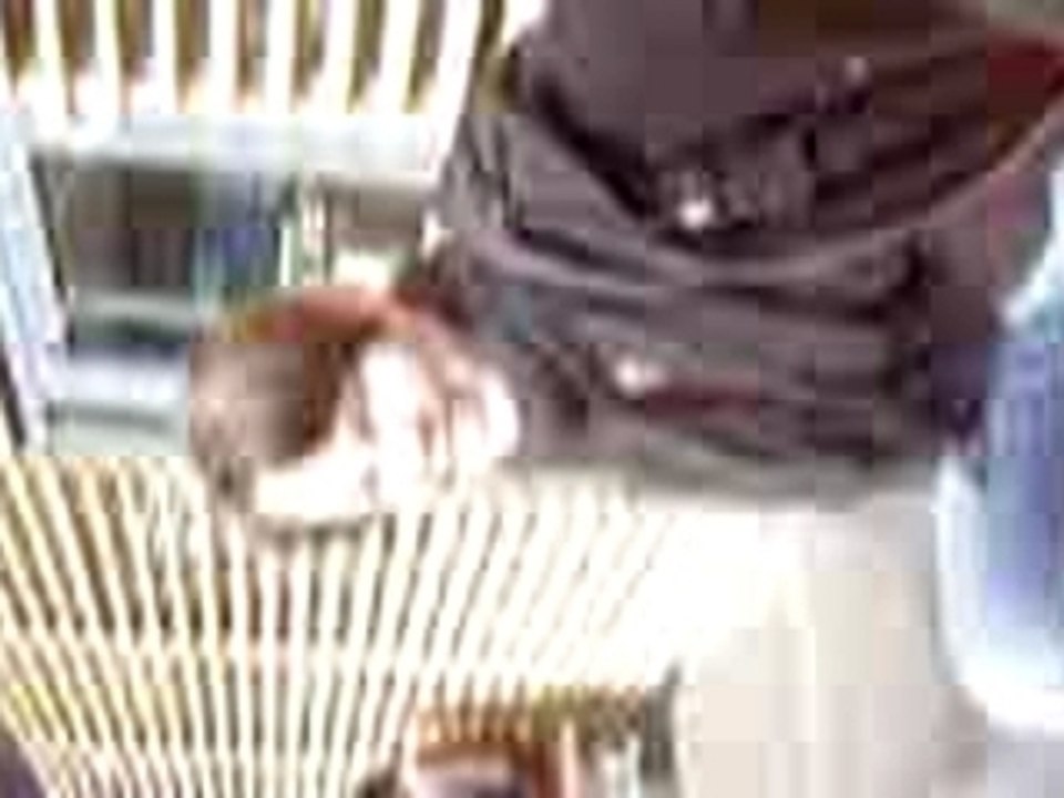 Photo 035