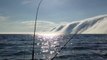 Ce nuage de Brouillard géant avance en mode Tsunami! Fin du monde