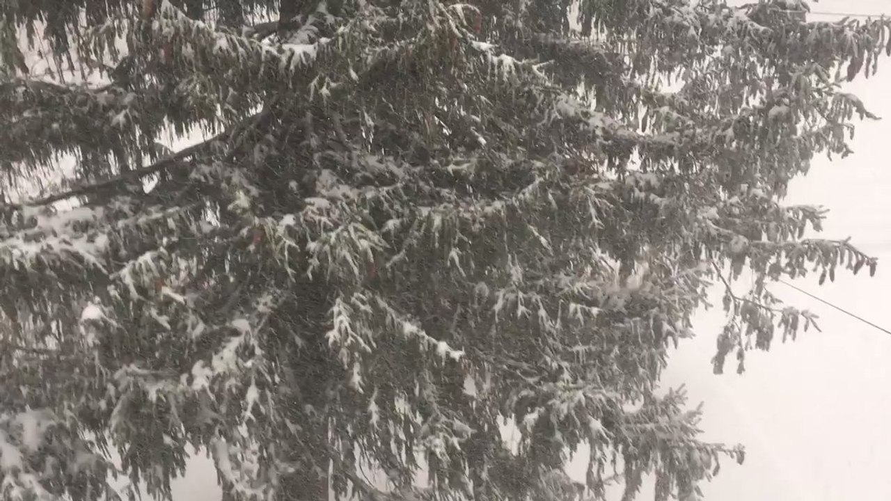 Thundersnow Rumbles During Buffalo Lake-Effect Snow