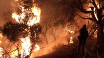 California's Thomas Fire Grows, Triggers New Evacuations