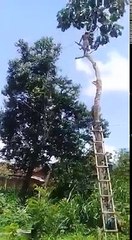 common sence is not just common. watch this video