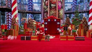 Olate Dogs - Dogs Do Flips and Perform Holiday Tricks - America's Got Talent 2016-aXFXGEtpi3k