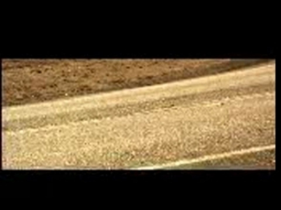 Auto stop terminator amusant