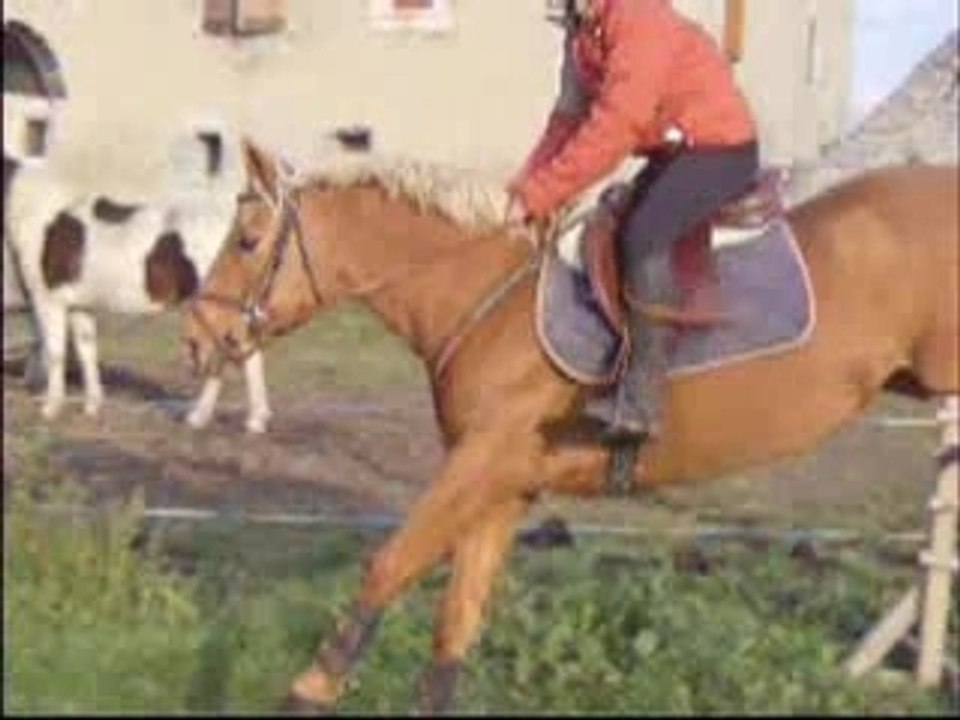 Seance de saut 17 nov avec nenes