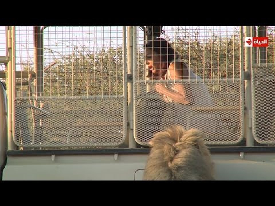 هاني فى الادغال | الحلقة العاشرة (10) كاملة | ضيفة الحلقة النجمة ميس حمدان