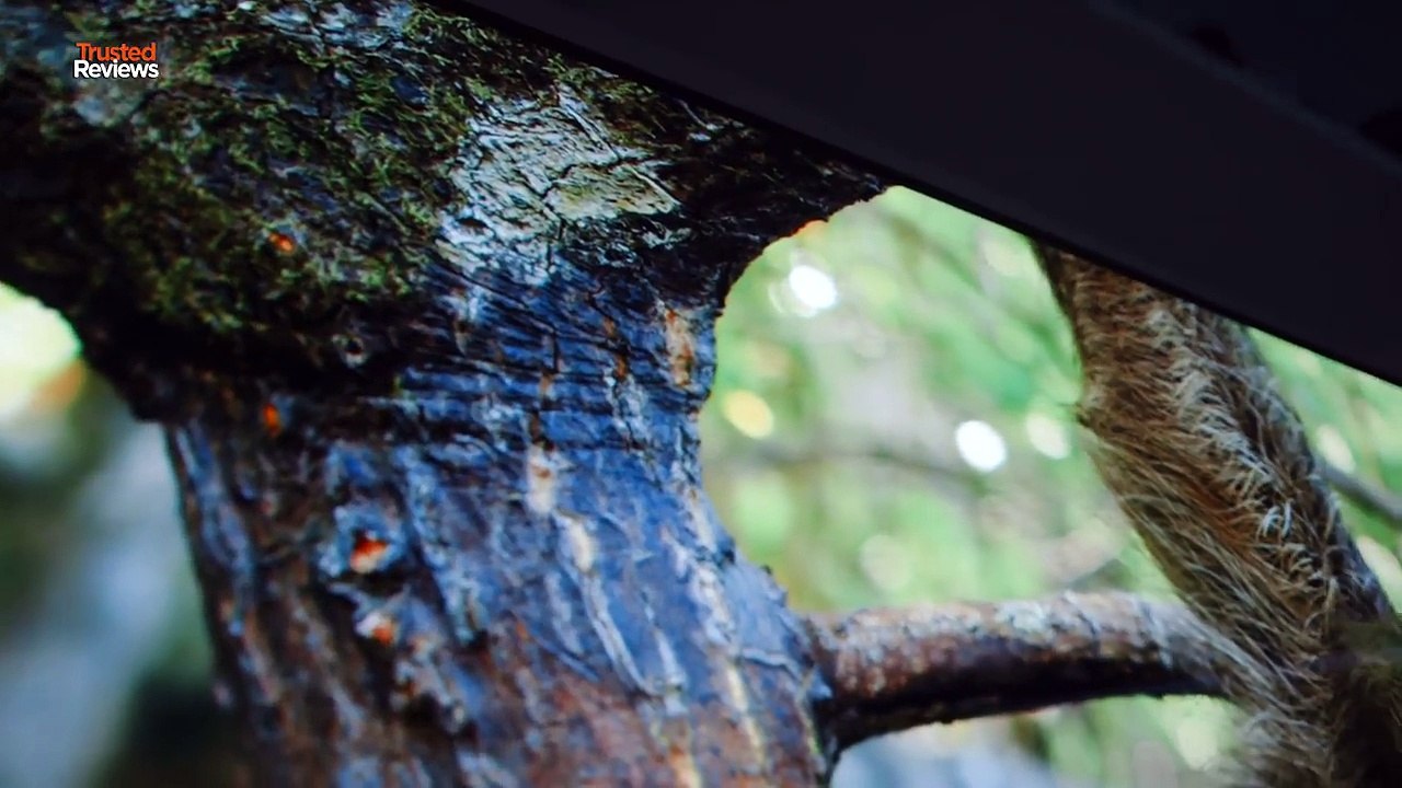 Panasonic EZ952 OLED 4K HDR Review (TX-65EZ952B) _ Trusted Reviews-xGtIxeU25-E