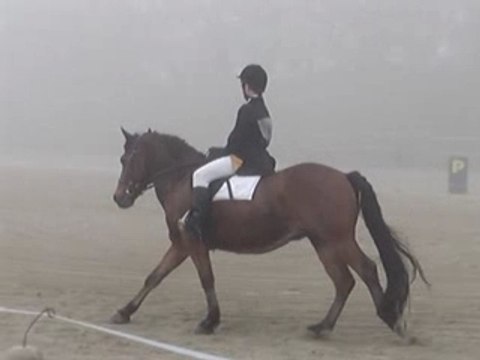 Concours elfes blanc CCE E2