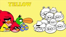 Angry Birds Characters Coloring Pages For Learning Colors - Angry Birds vs Pigs-2mqPrneFAKE