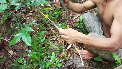 Primitive Technology  Make Basket using vines