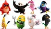 Learn Colors with Angry Birds Movie Characters Coloring Book - Angry Birds Compilations-GyhSGalpgxw
