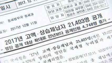 유병언 자녀 등 고액 체납자 2만 천여 명 공개 / YTN