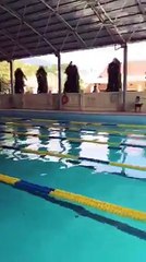 Hội Thao Bơi Vũ Trang Cuối Năm