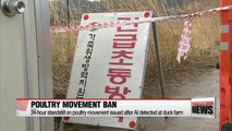 S. Korea orders 24-hour ban on poultry movement after detection of bird flu at duck farm