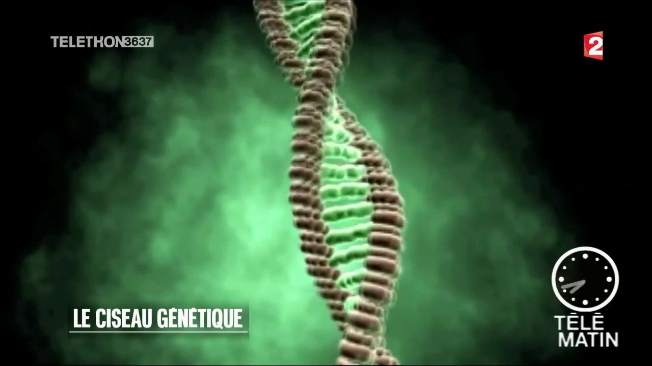 Sciences -  Le ciseau génétique