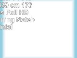 Medion Erazer P7643 MD 60493 439 cm 173 Zoll mattes Full HD Display Gaming Notebook
