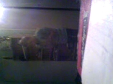 mes debut en tecktonik