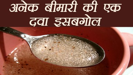 इसबगोल खाने का सही तरीका | Isabgol Health Benefits | Boldsky