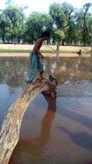 Funny Suicide attempt by a boy to jump in canal