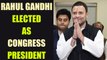 Rahul Gandhi takes over as Congress President, replaces his mother Sonia Gandhi | Oneindia News