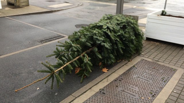 Ambiance d’après-tempête dans le centre-ville