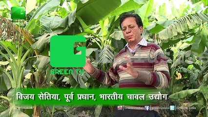 Paddy Waste Management_Good Lesson To Learn For Farmers