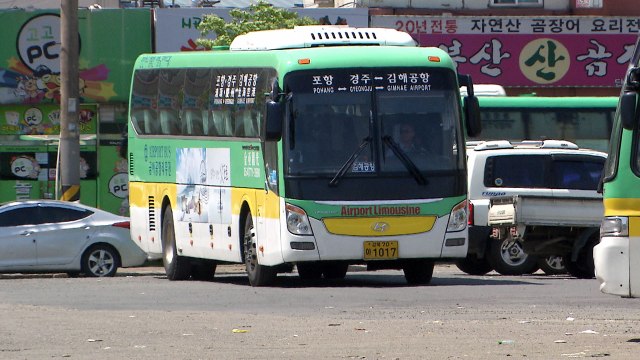 [경북] 포항 관광 활성화...무료 셔틀버스운영 / YTN