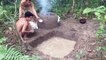 Primitive Technology with Survival Skills Calcium Oxide and Water(CaO+H2O)