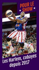 Explore Tir à quatre points - Harlem Globetrotters cobayes