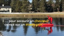 Un cheval est sauvé d un étang gelé au michigan