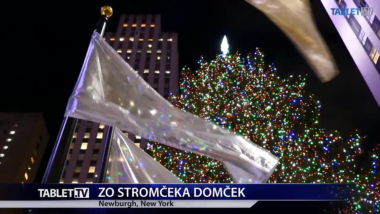 Najväčší stromček spred Rockefellerovho centra využijú po Vianociach stavbári
