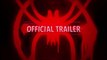 Spider-Man: Into the Spider-Verse Teaser 1 - Marvel Movie