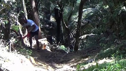 Muito bem%2C eu sou Bismarck jardineiro