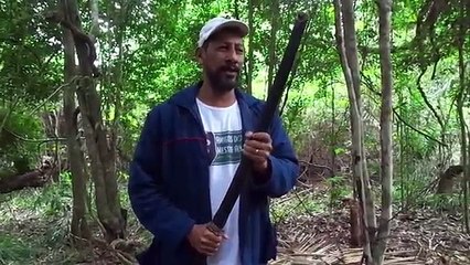 Bismarck jardineiro versus Lobisomem