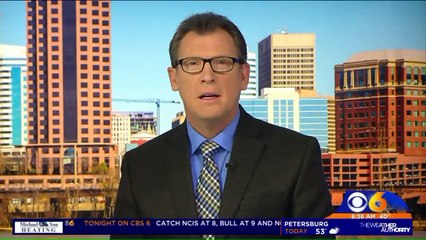 Dog Battling Lymphoma Finds Forever Home In Time for Christmas