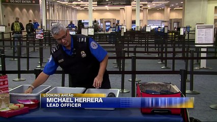 How to Avoid Security Slowdowns at the Airport This Holiday Season