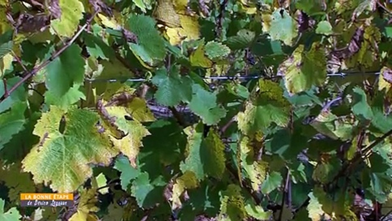 La Bonne Etape - Touraine Primeur