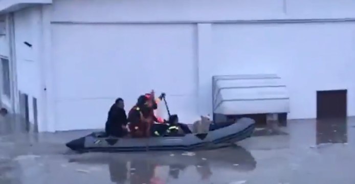 Italian Emergency Services Rescue Dog From Flooded Building