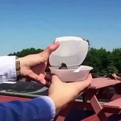 Funny Vines: Bye Little Bird