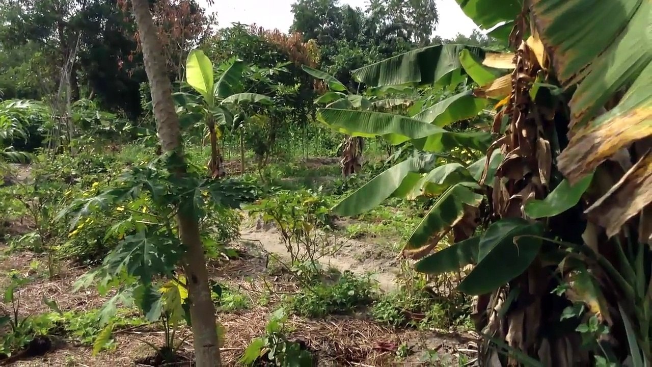 Rencontre avec la Famille Jah au Bénin - Fondation Nouvelle Création